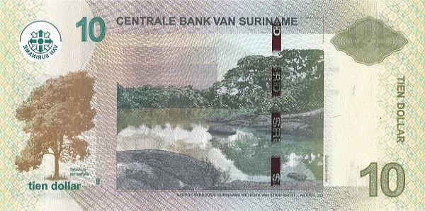 (081) Surinam PN163c - 10 Dollars Year 2019